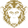 Omneky LOGO