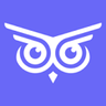 Brandwise AI LOGO
