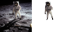 Background Remover AI LOGO