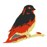 Rath by Kanarie LOGO