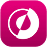 Olvy Changelogs LOGO