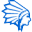 数字酋长(DataCaciques) LOGO