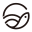 飞飞鱼跨境电商供应链 LOGO