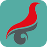 学历真伪查询 LOGO