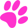 Coding Cat LOGO
