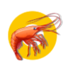 皮皮虾资源 LOGO