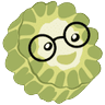 苦瓜书盘 LOGO