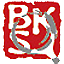 全国报刊索引 LOGO