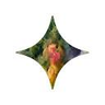 Starry.ai翻译站点 LOGO