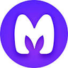 MagicSchool.ai LOGO