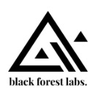 FLUX.1 LOGO