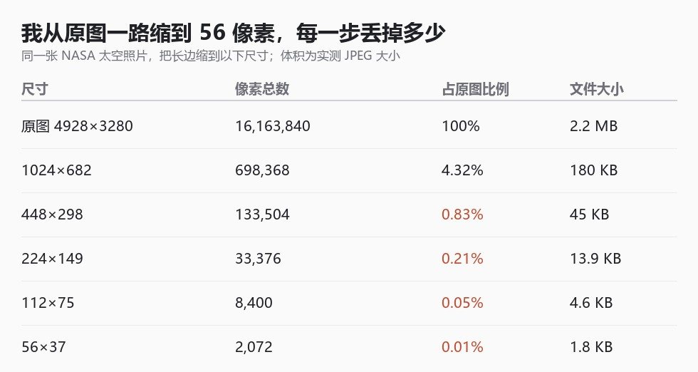 从原图一路缩到 56 像素，每一步的像素总数、占原图比例与文件大小（均为实测）