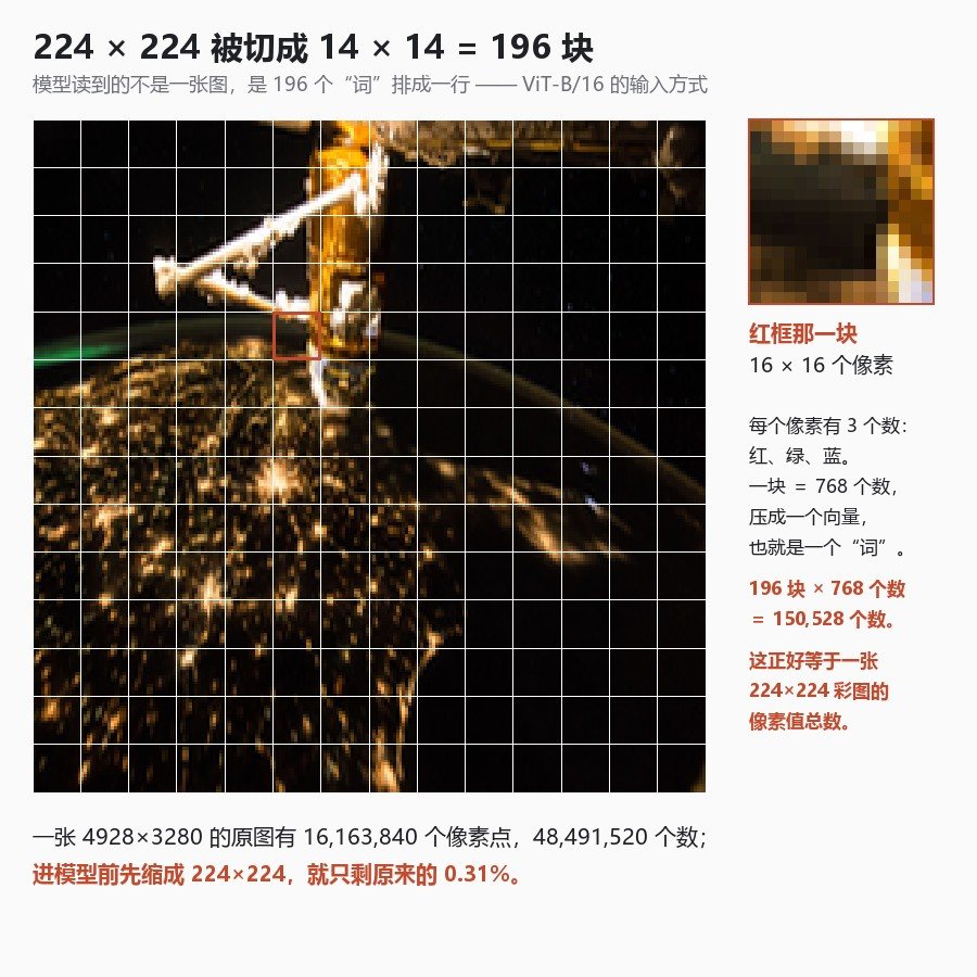 224×224 被切成 14×14 共 196 块；红框那块单独拿出来，是 16×16 个像素