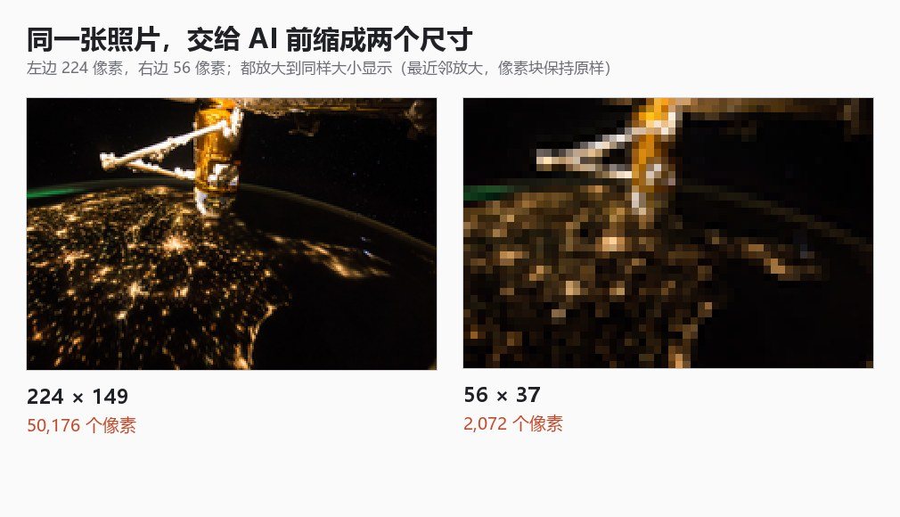 同一张图缩到 224 和 56 两个尺寸，再放大到同样大小显示（最近邻放大，像素块保持原样）