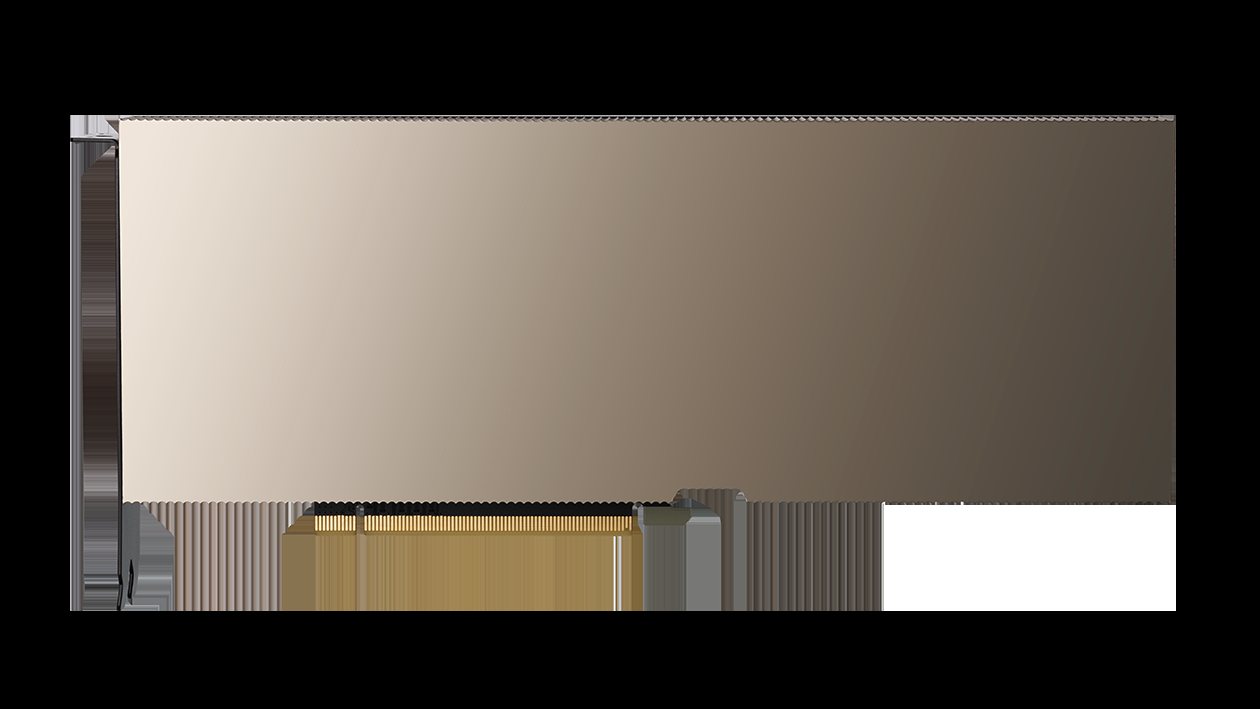 数据中心级 GPU 加速卡。图片来源：Nvidia，CC BY-SA 4.0